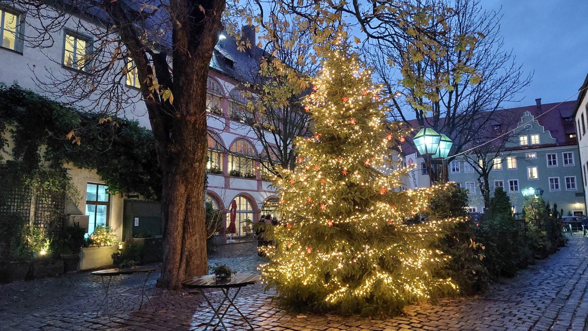 Weihnachtsgeschenk gesucht? 