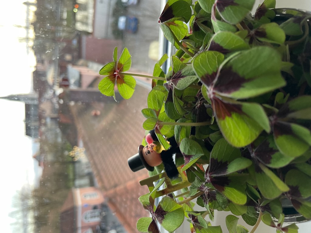 Ein gutes und friedliches Jahr 2026 w&uuml;nschen Ihnen allen die G&auml;stef&uuml;hrerinnen und G&auml;stef&uuml;hrer von kulttouren e. V. 